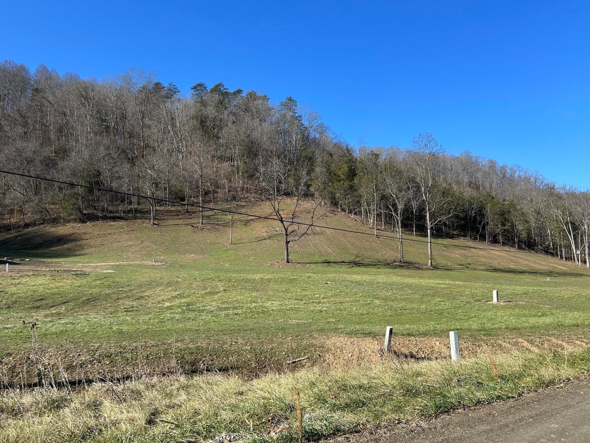 54 Pond Ridge Road Lindside, WV 24951 - Photo 5 of 80 Gallery Image 5