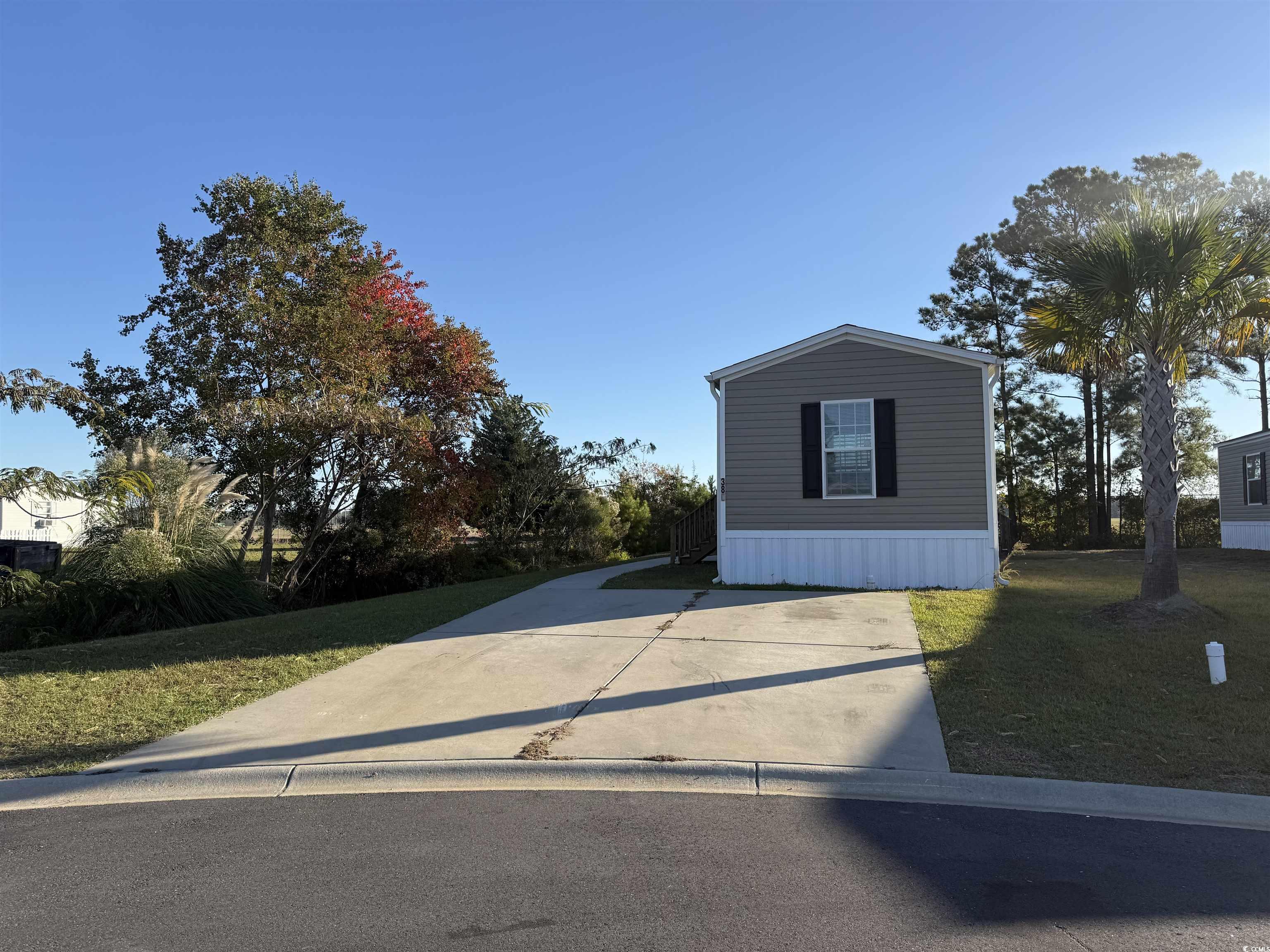 380 Hangar Court Myrtle Beach, SC 29577 - Photo 15 of 16 Empty room featuring dark wood-style floors, a textured ceiling, and crown molding