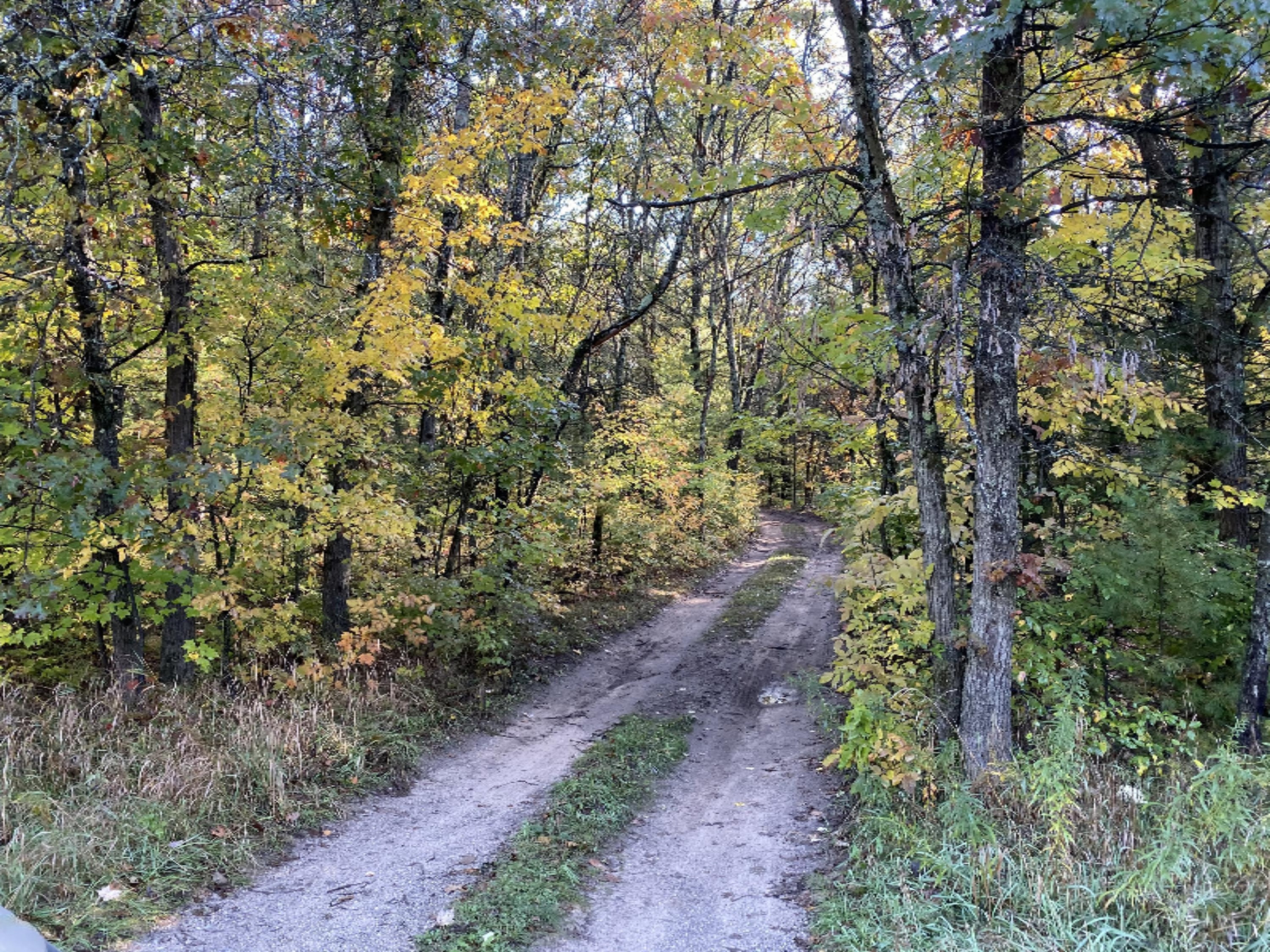 0 West County Line Road Newaygo, MI 49337 - Photo 2 of 5 IMG_0085