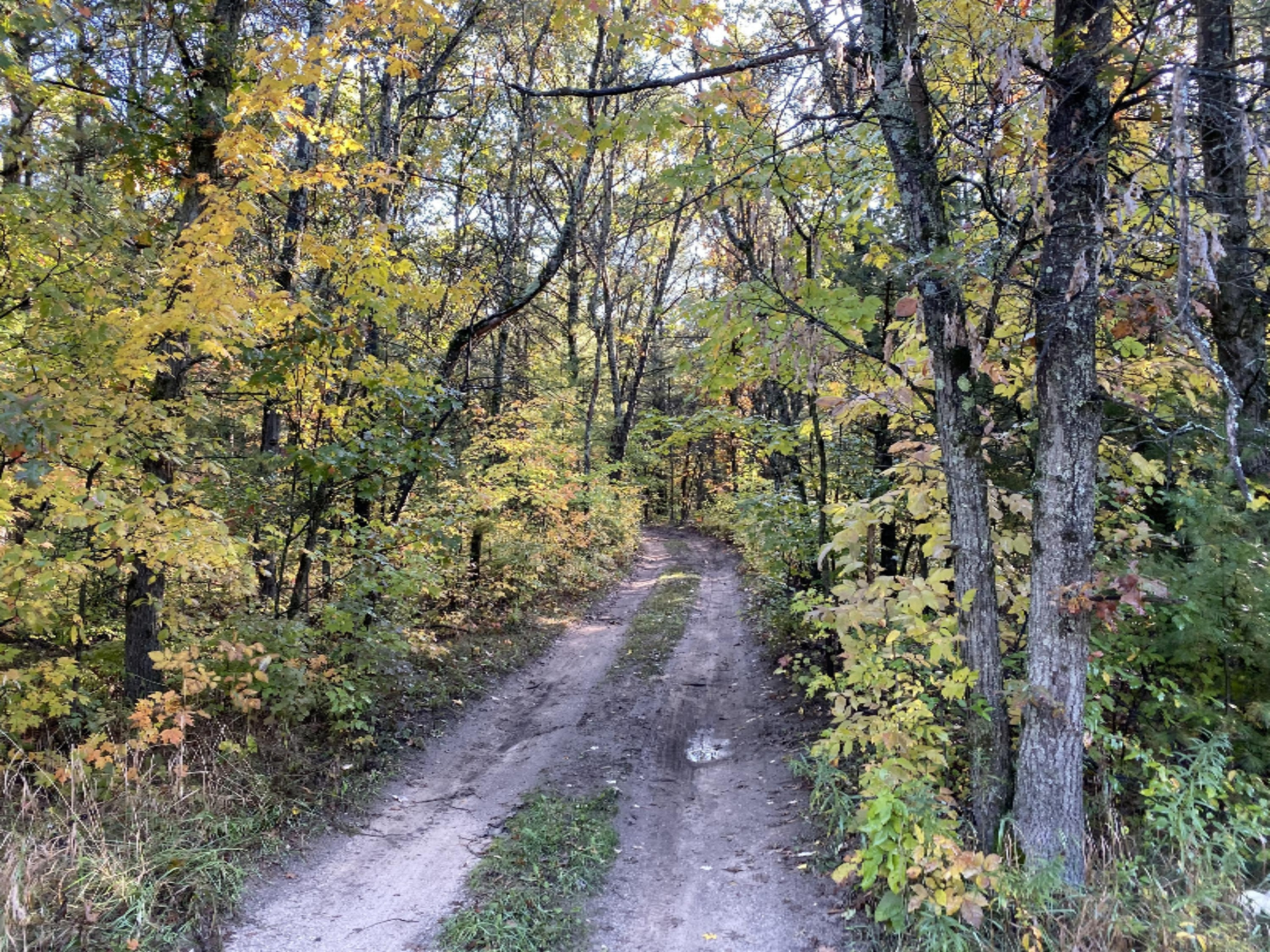0 West County Line Road Newaygo, MI 49337 - Photo 5 of 5 IMG_0088