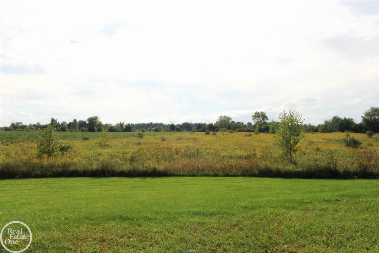 7906 Wildcat Road Croswell, MI 48422 - Photo 7 of 28