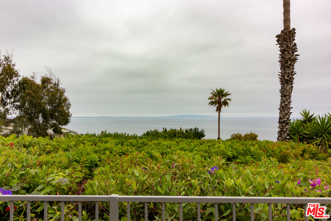 20534 Roca Chica Drive Malibu, CA 90265 - Photo 37 of 38 a view of a garden