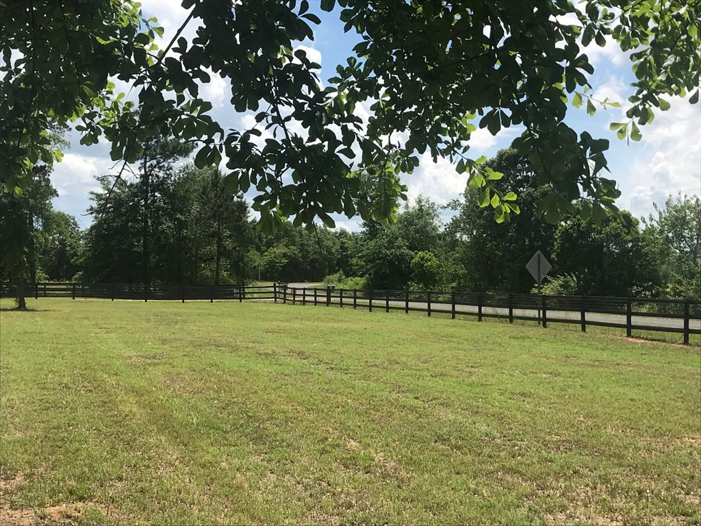 115 Burkelo Road Wagener, SC 29164 - Photo 52 of 60