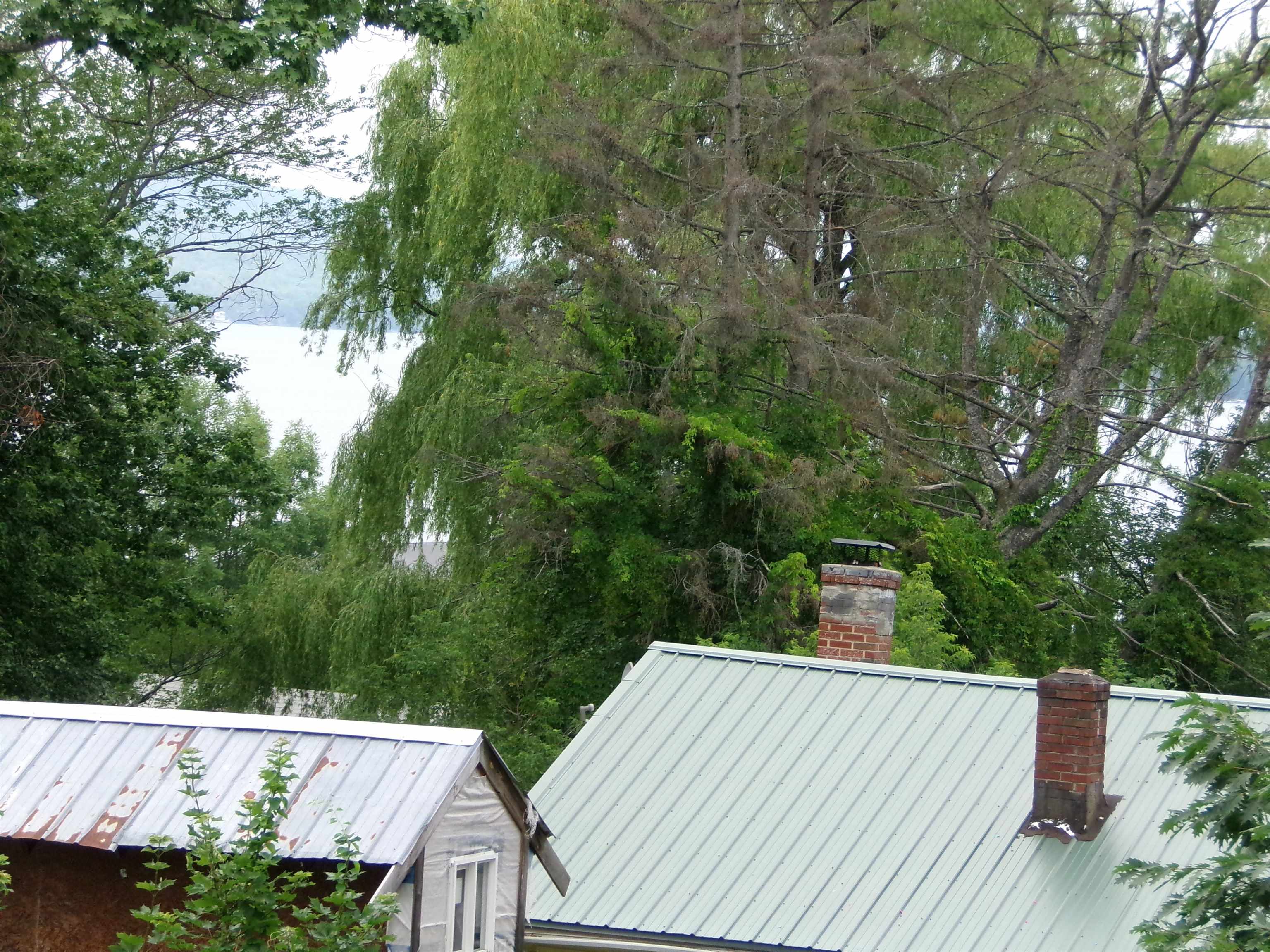 51 Addison Street Laconia, NH 03246 - Photo 42 of 54
