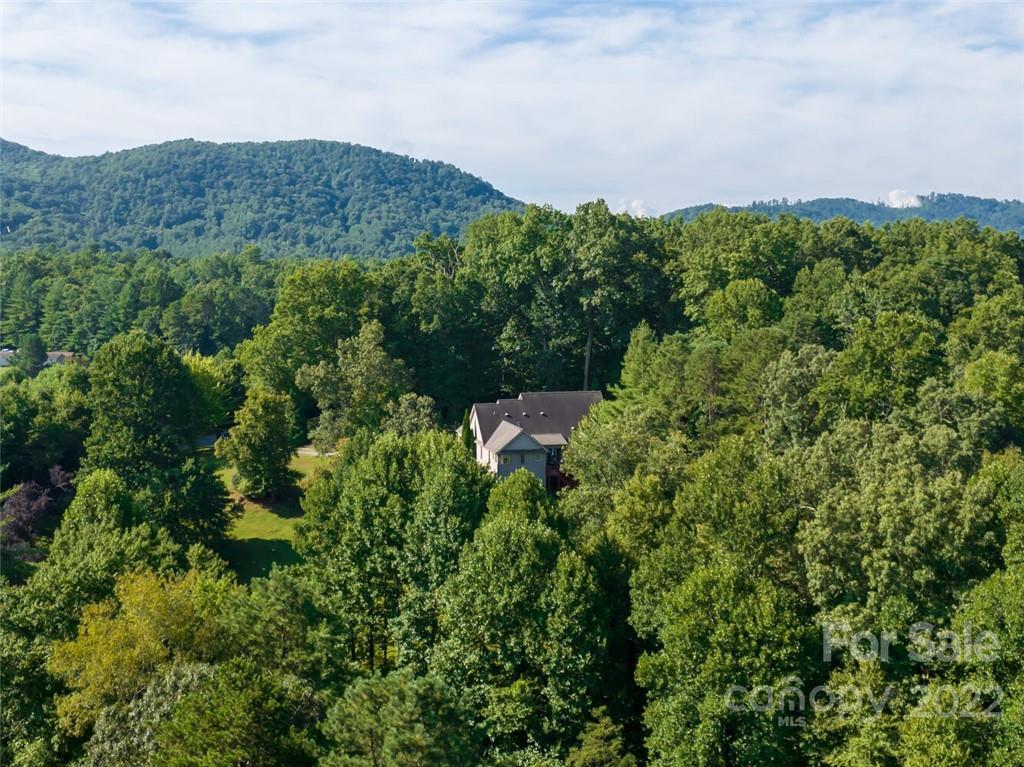 48 Rilandwell Drive Fletcher, NC 28732 - Photo 44 of 46 Gallery Image 44