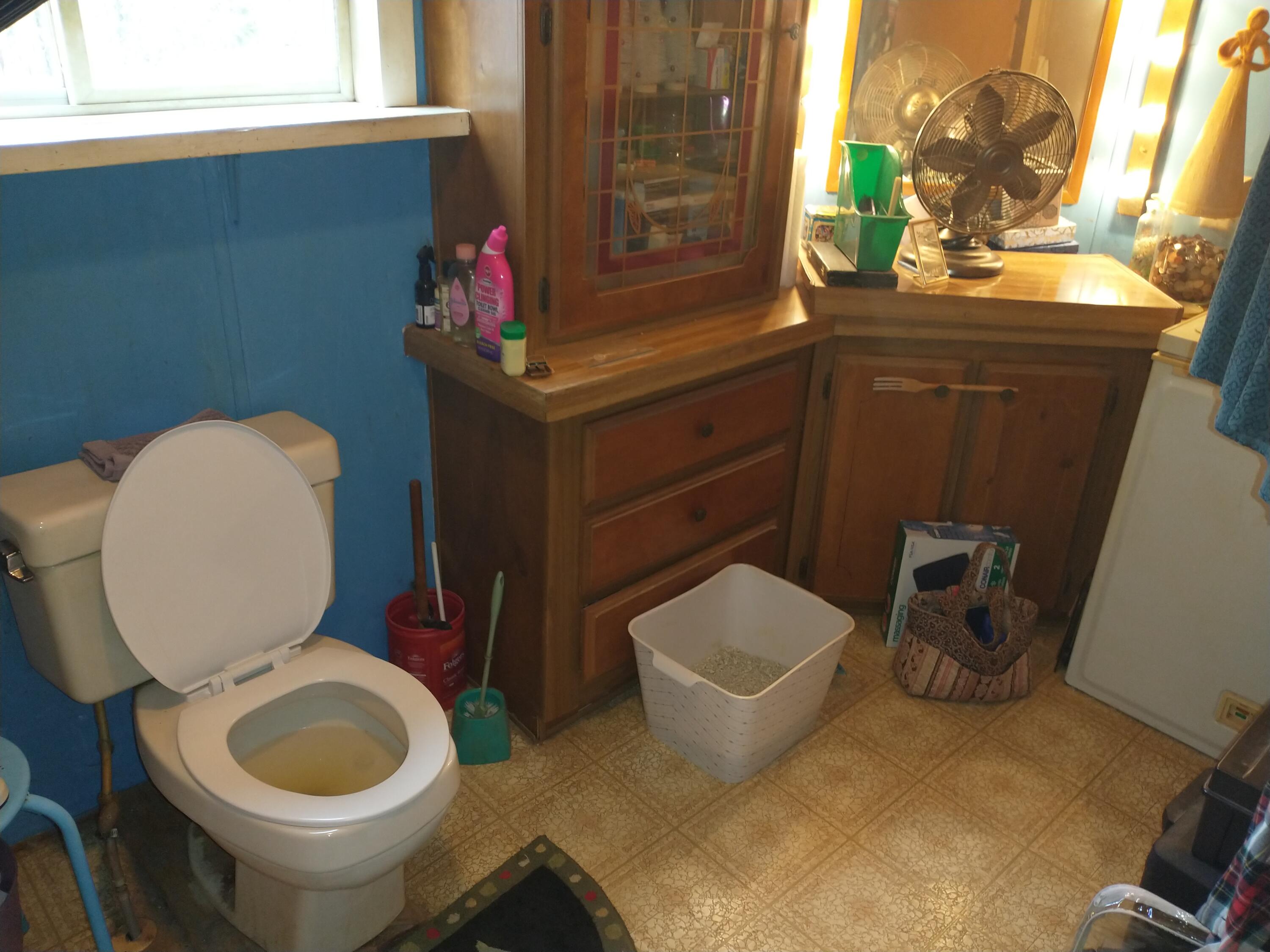 617 Dexter Road Garland, ME 04939 - Photo 23 of 73 IMG_20250404_113423499