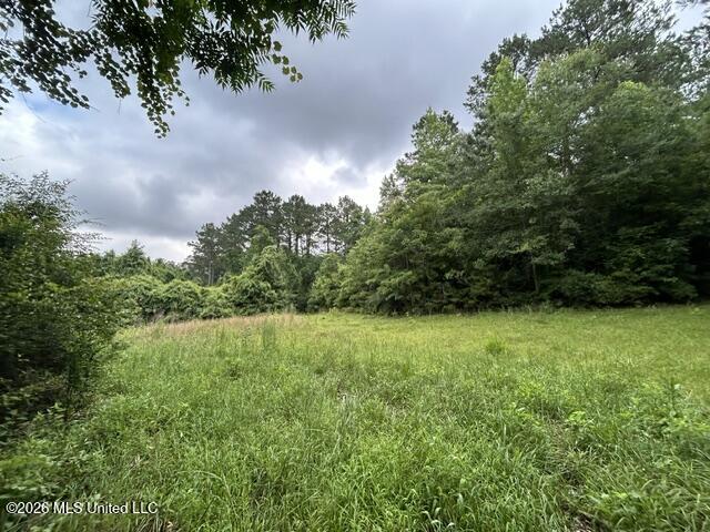 301 Freeman Road Southwest Summit, MS 39666 - Photo 27 of 43 IMG_4611