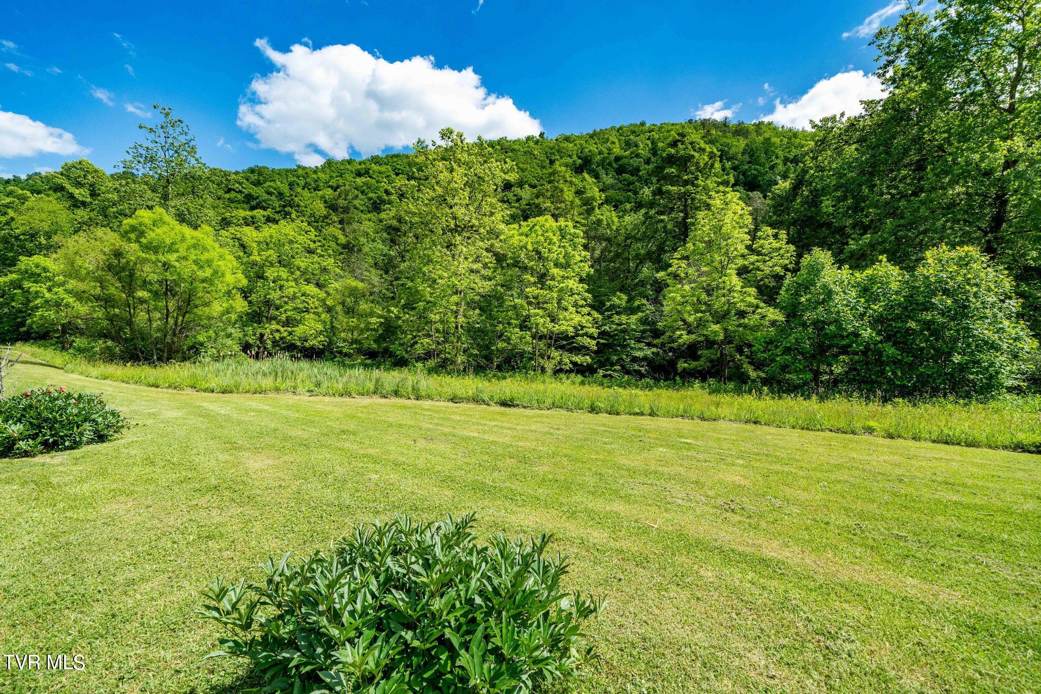 766 Doe Creek Road Butler, TN 37640 - Photo 17 of 50 766 Doe Creek Road (35 of 54)
