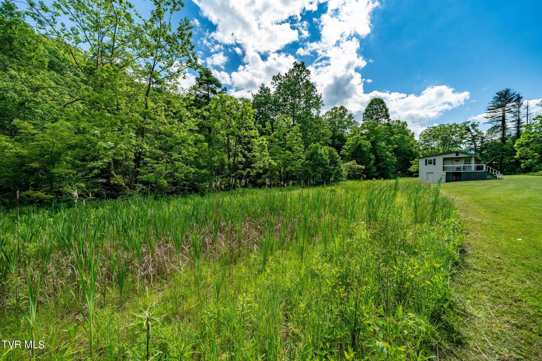 766 Doe Creek Road Butler, TN 37640 - Photo 19 of 50 766 Doe Creek Road (37 of 54)