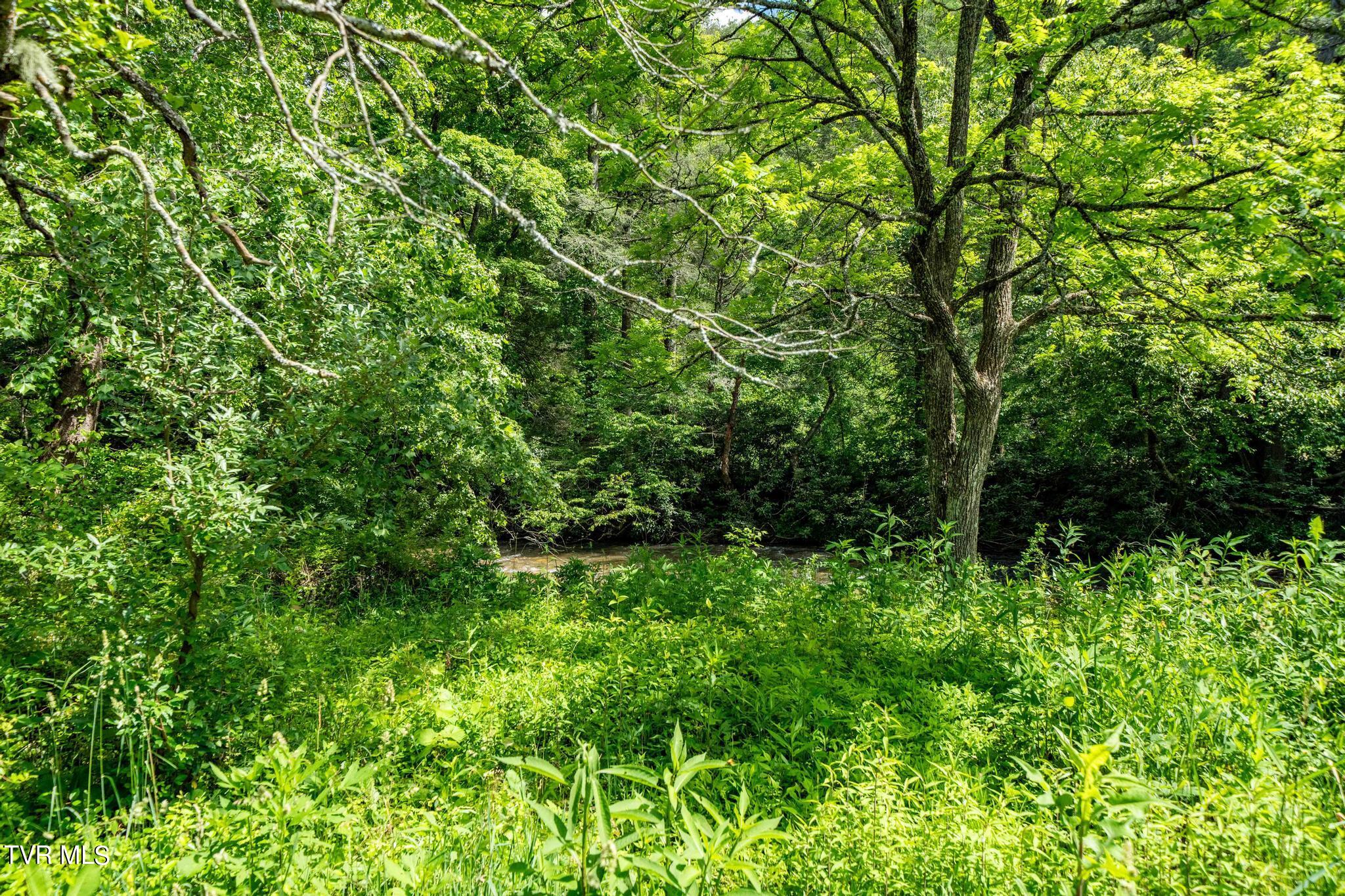 766 Doe Creek Road Butler, TN 37640 - Photo 21 of 50 766 Doe Creek Road (39 of 54)