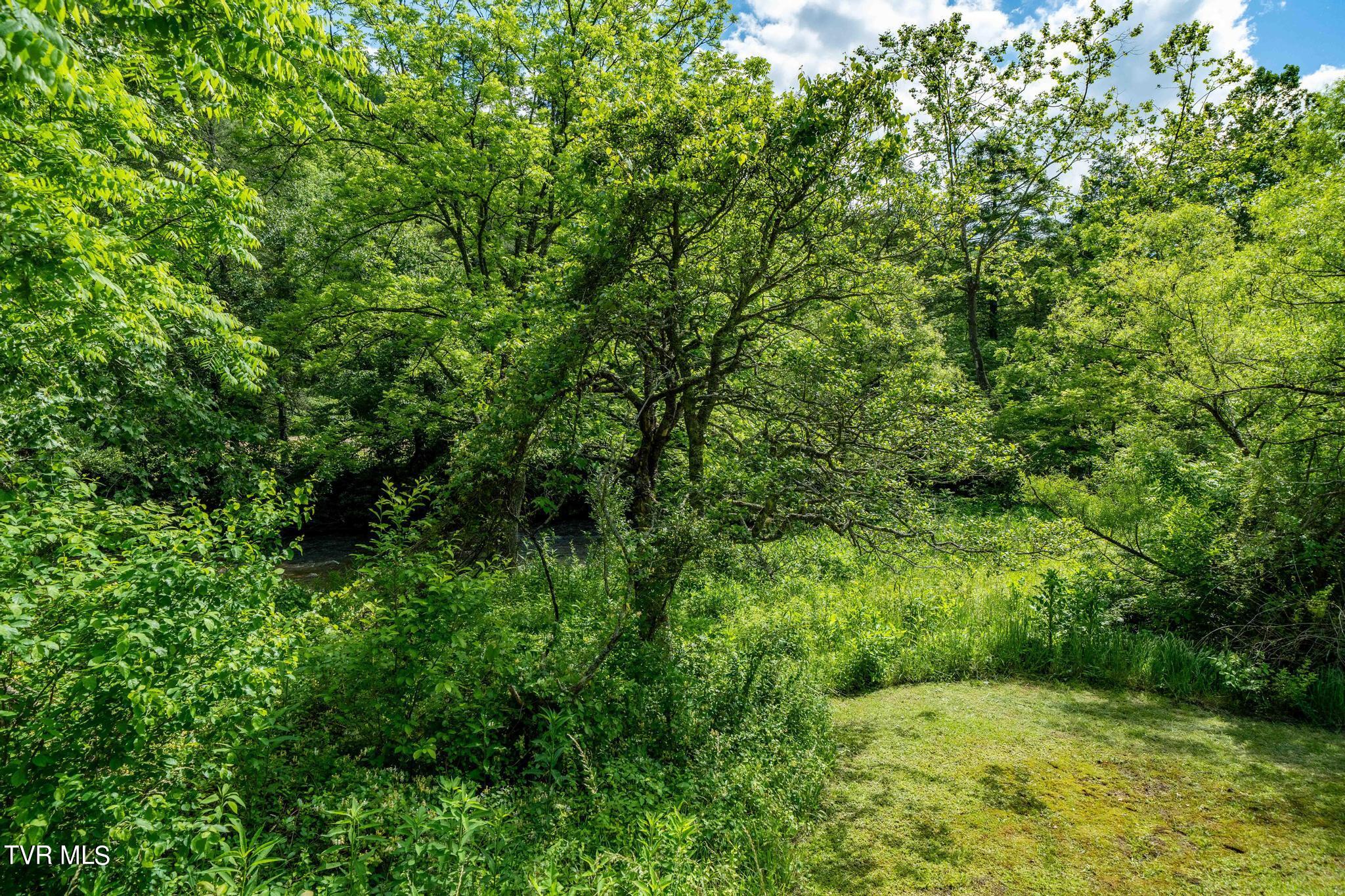 766 Doe Creek Road Butler, TN 37640 - Photo 22 of 50 766 Doe Creek Road (40 of 54)