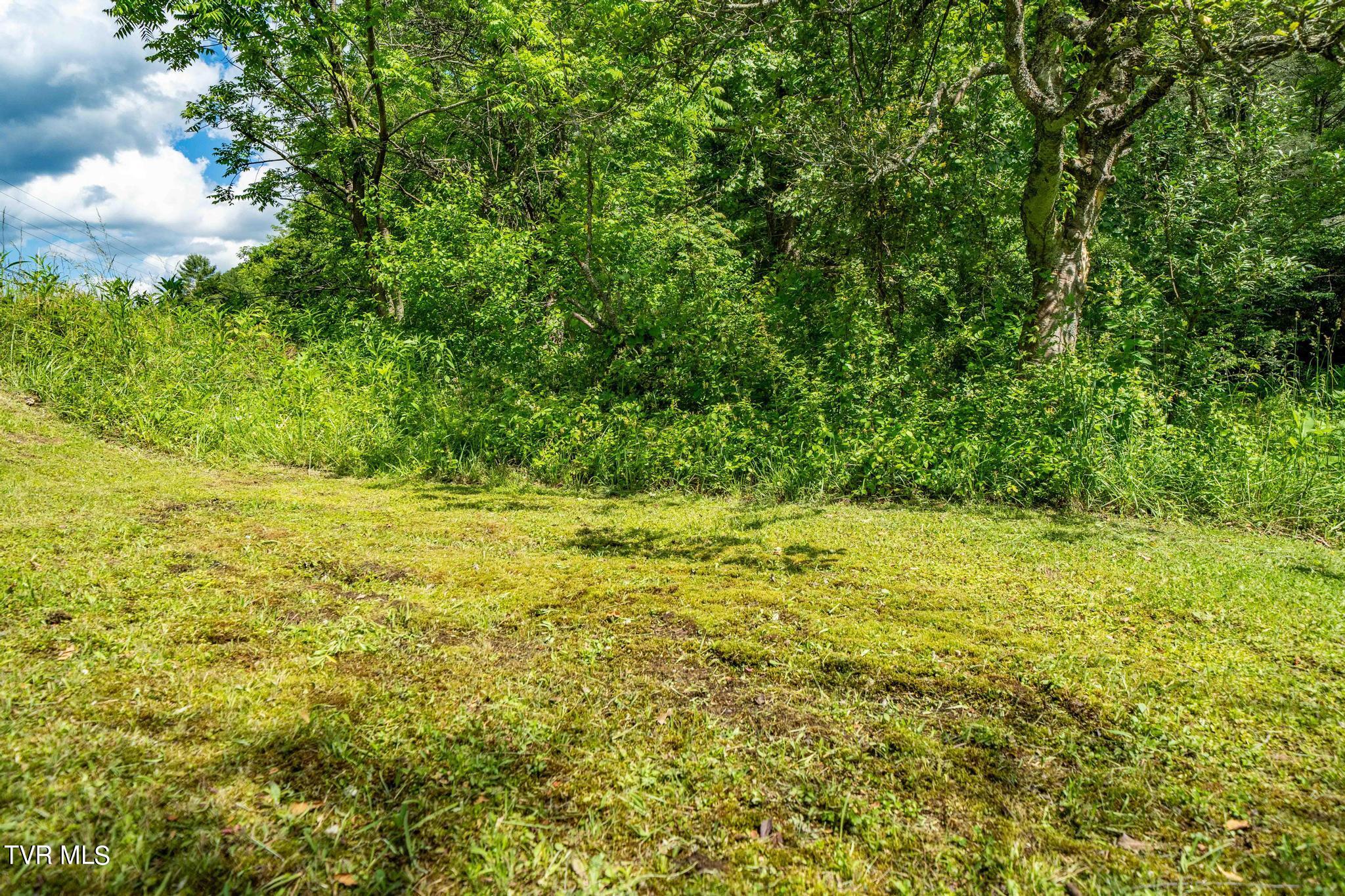 766 Doe Creek Road Butler, TN 37640 - Photo 25 of 50 766 Doe Creek Road (43 of 54)