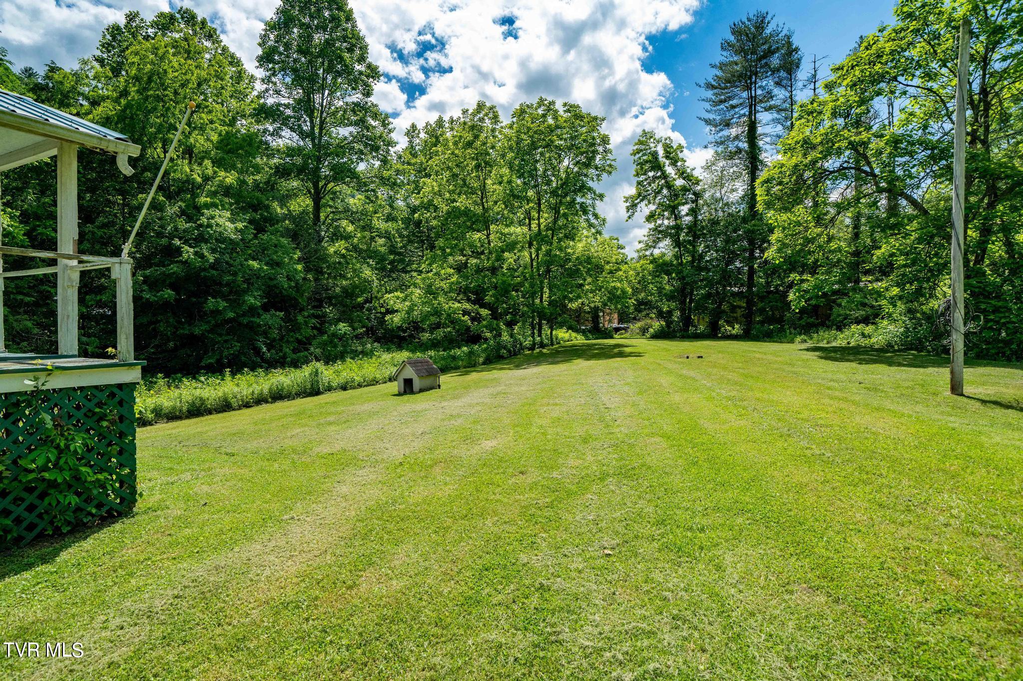 766 Doe Creek Road Butler, TN 37640 - Photo 10 of 50 766 Doe Creek Road (28 of 54)