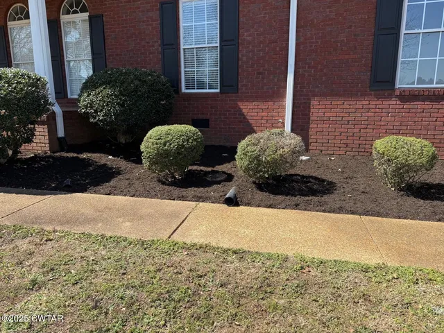 a view of a garden with potted plants