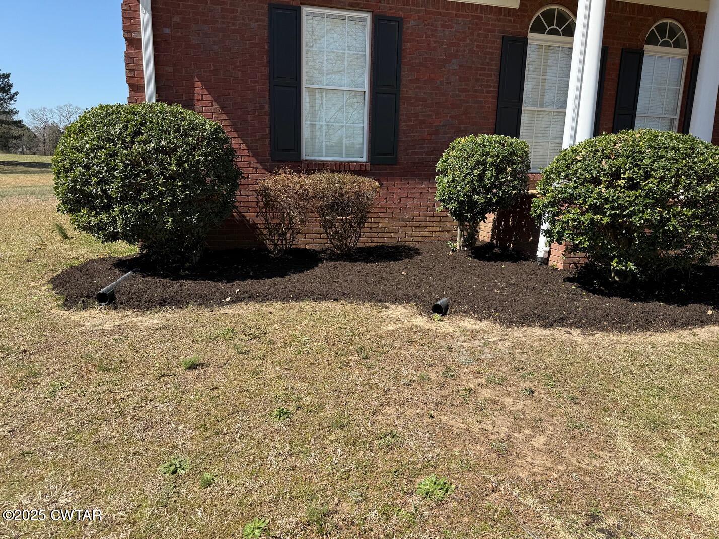 465 Garland Road Henderson, TN 38340 - Photo 30 of 31 a view of a plants