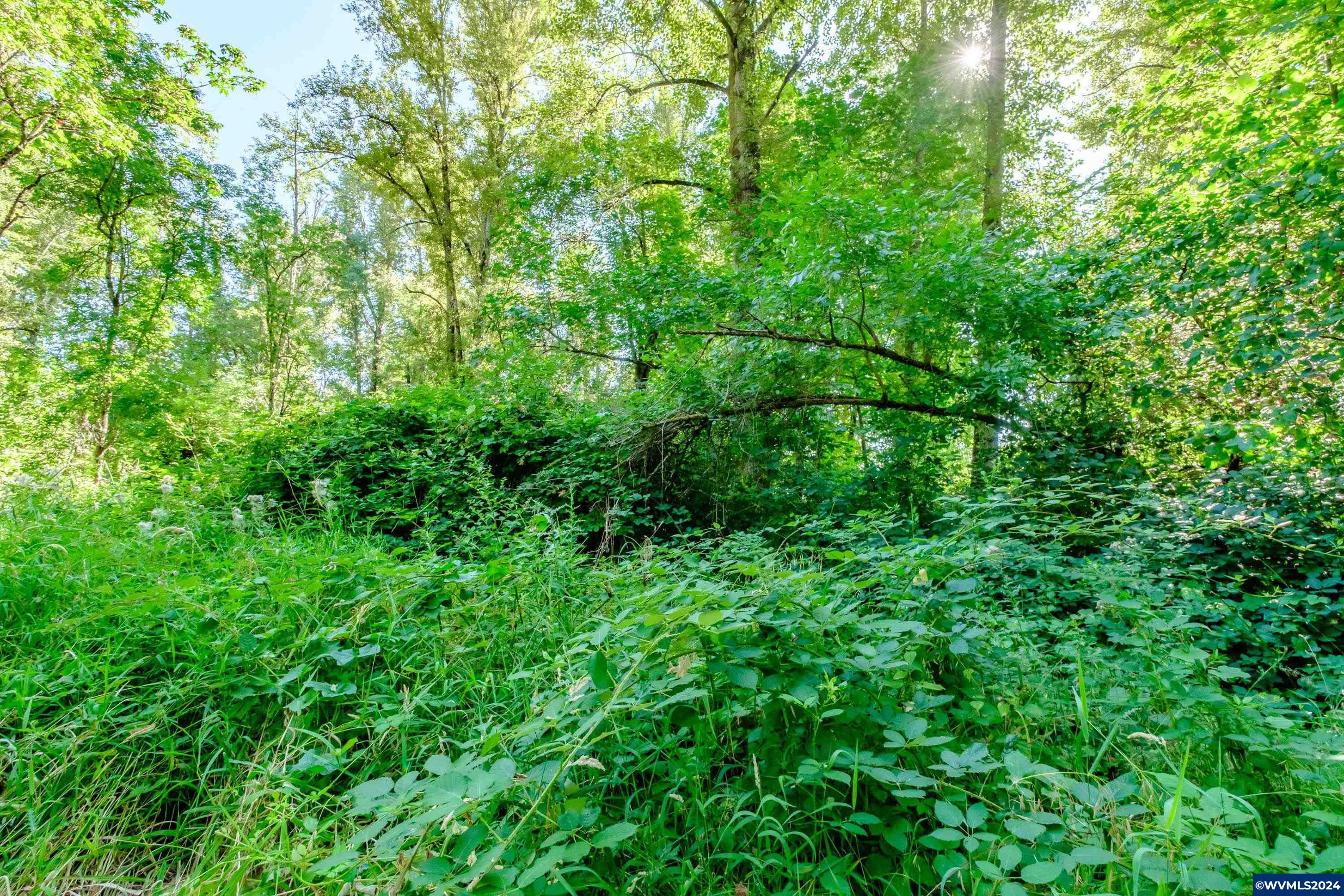Lot 1 Matheny Road Gervais, OR 97026 - Photo 5 of 21