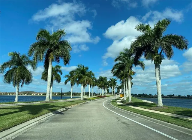 a view of a park with palm trees