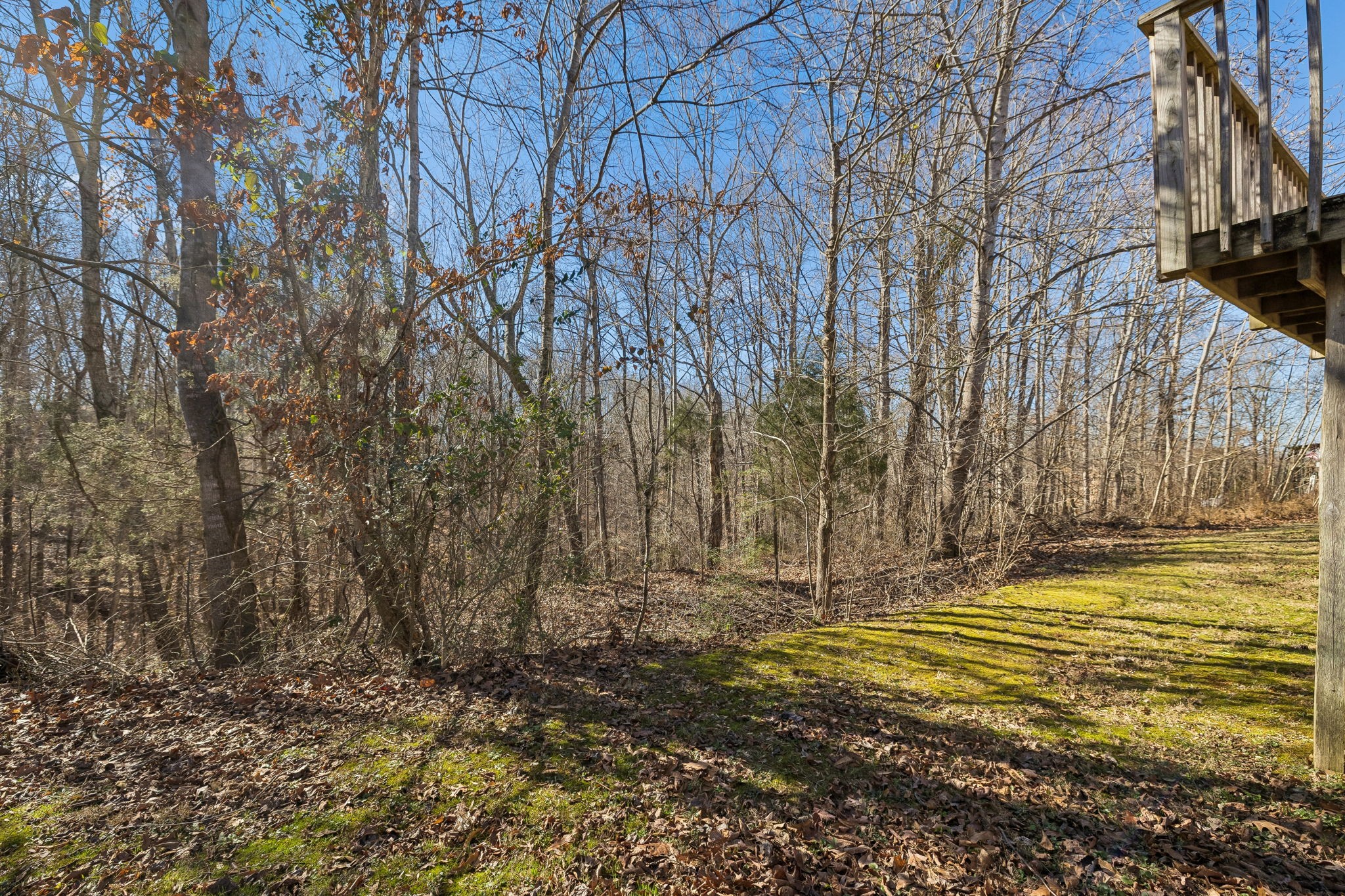 1053 Pack Road White Bluff, TN 37187 - Photo 39 of 47