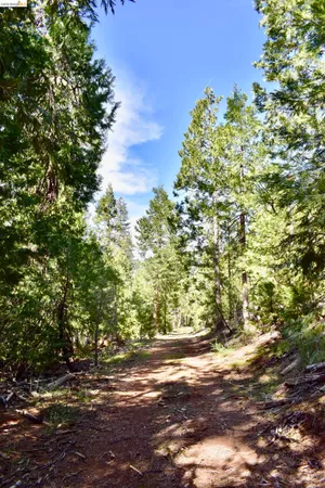 $699,000 | Tuolumne County, Sonora, CA 95370