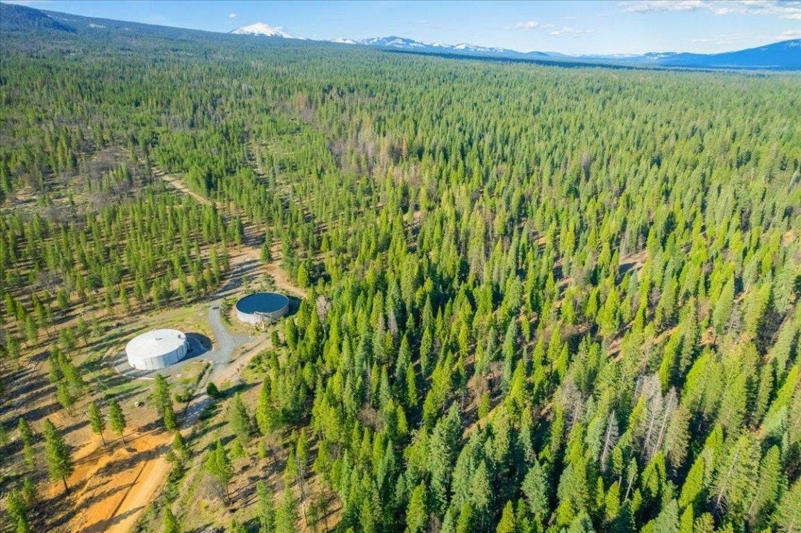 Lot East Intake Springs Road McCloud, CA 96057 - Photo 14 of 32 Gallery Image 14