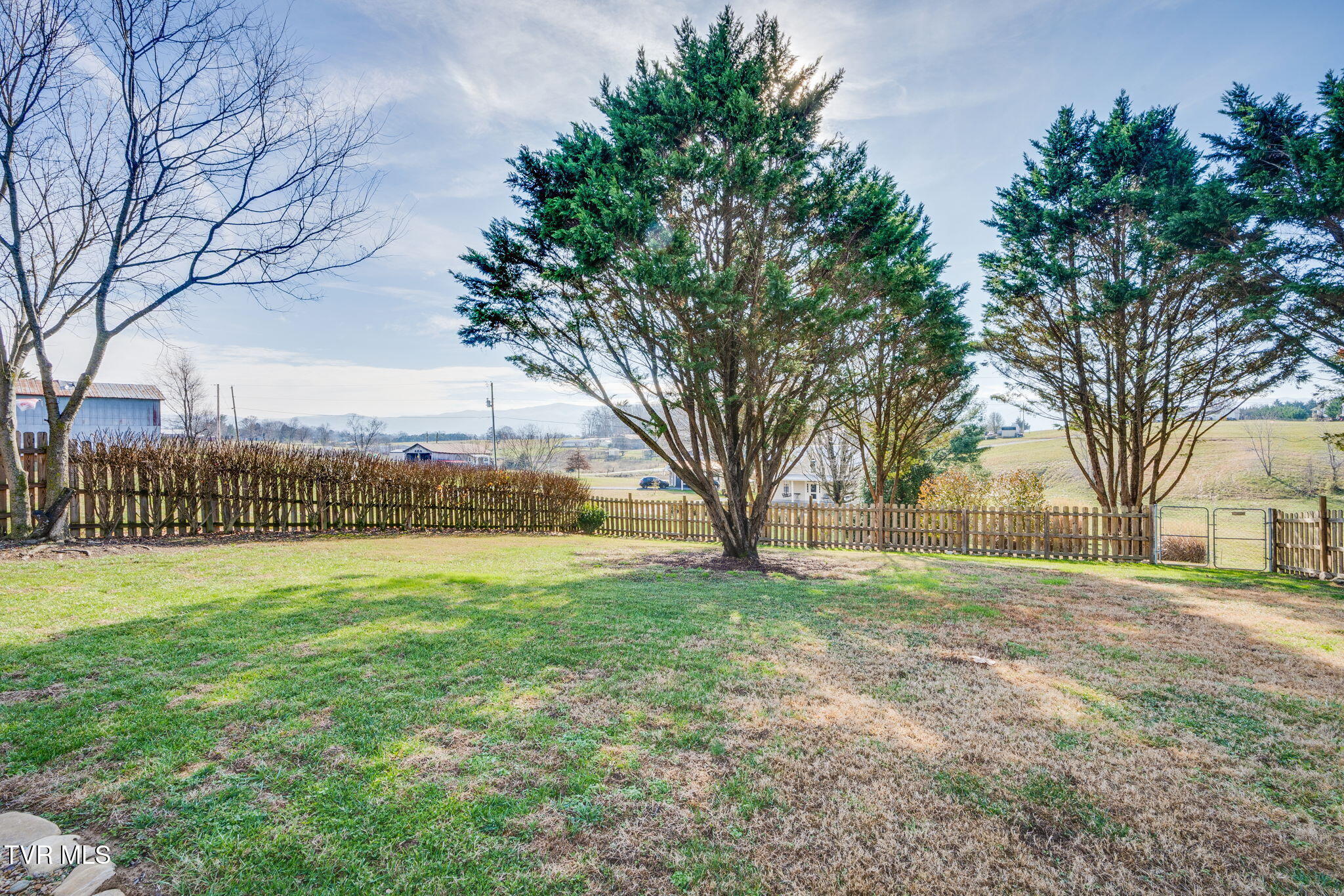 320 Barren Road Chuckey, TN 37641 - Photo 38 of 59 010 (2)