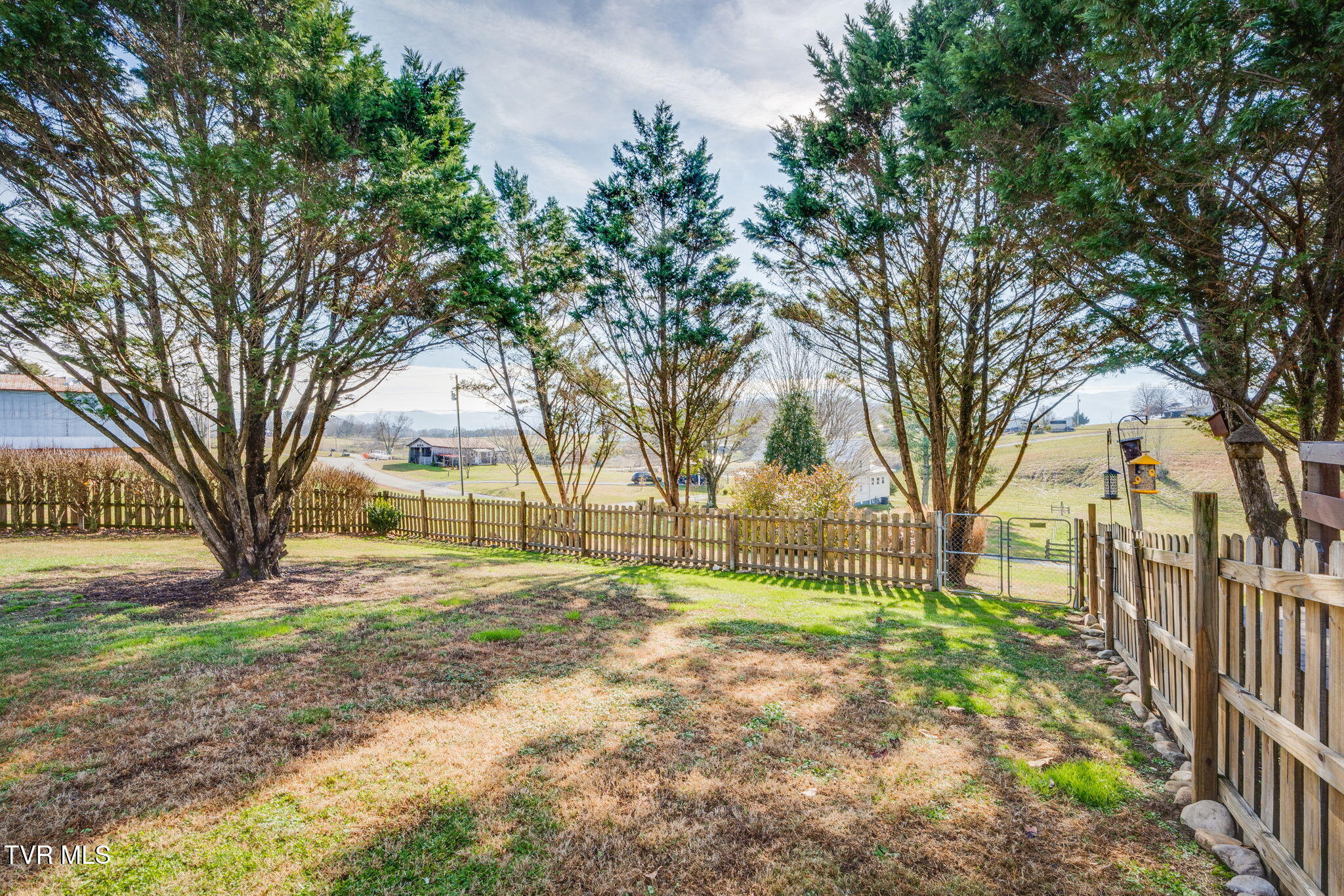 320 Barren Road Chuckey, TN 37641 - Photo 39 of 59 011 (2)