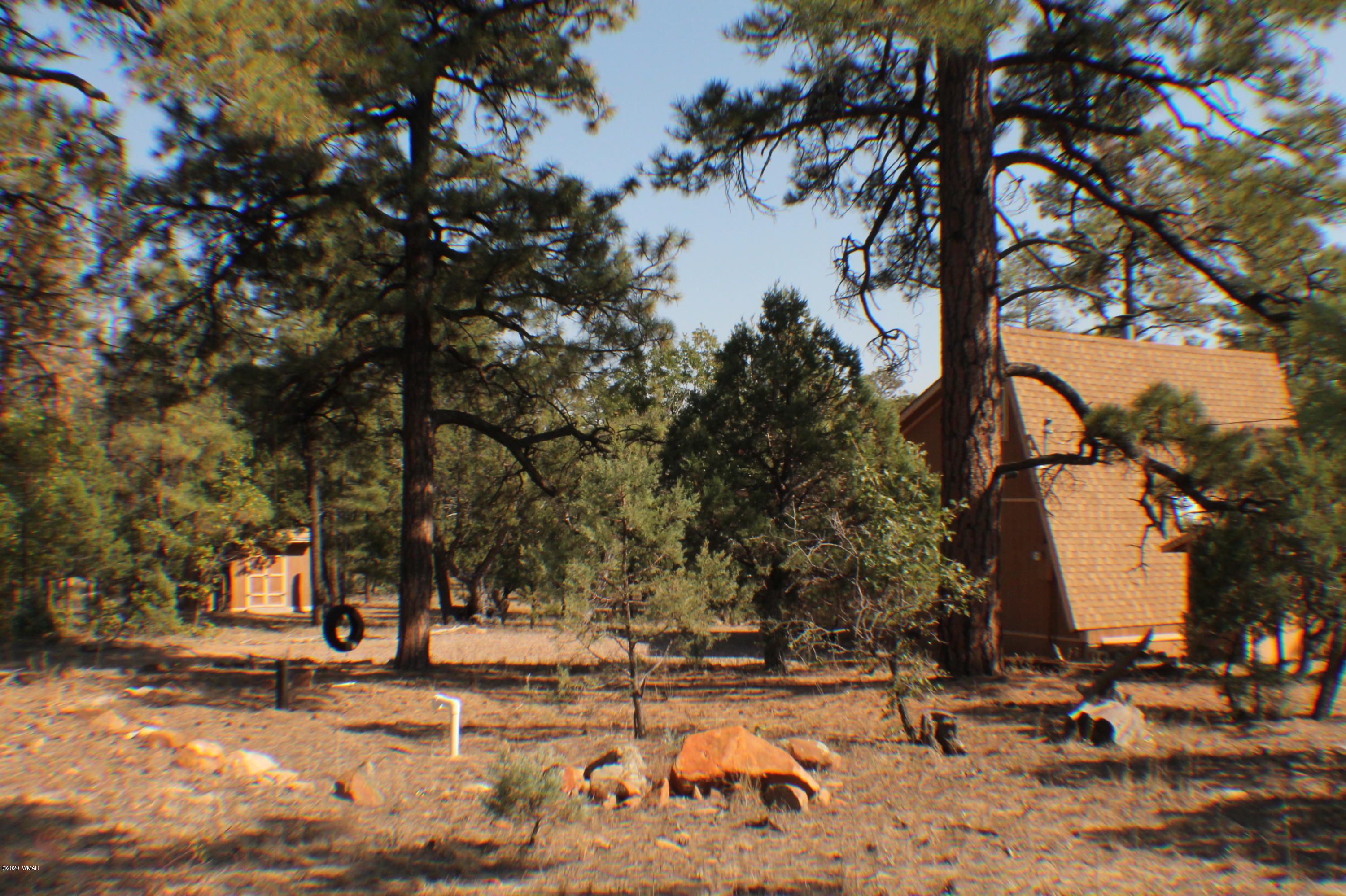 2048 Gilbert Lane Overgaard, AZ 85933 - Photo 28 of 41 a view of a yard with trees