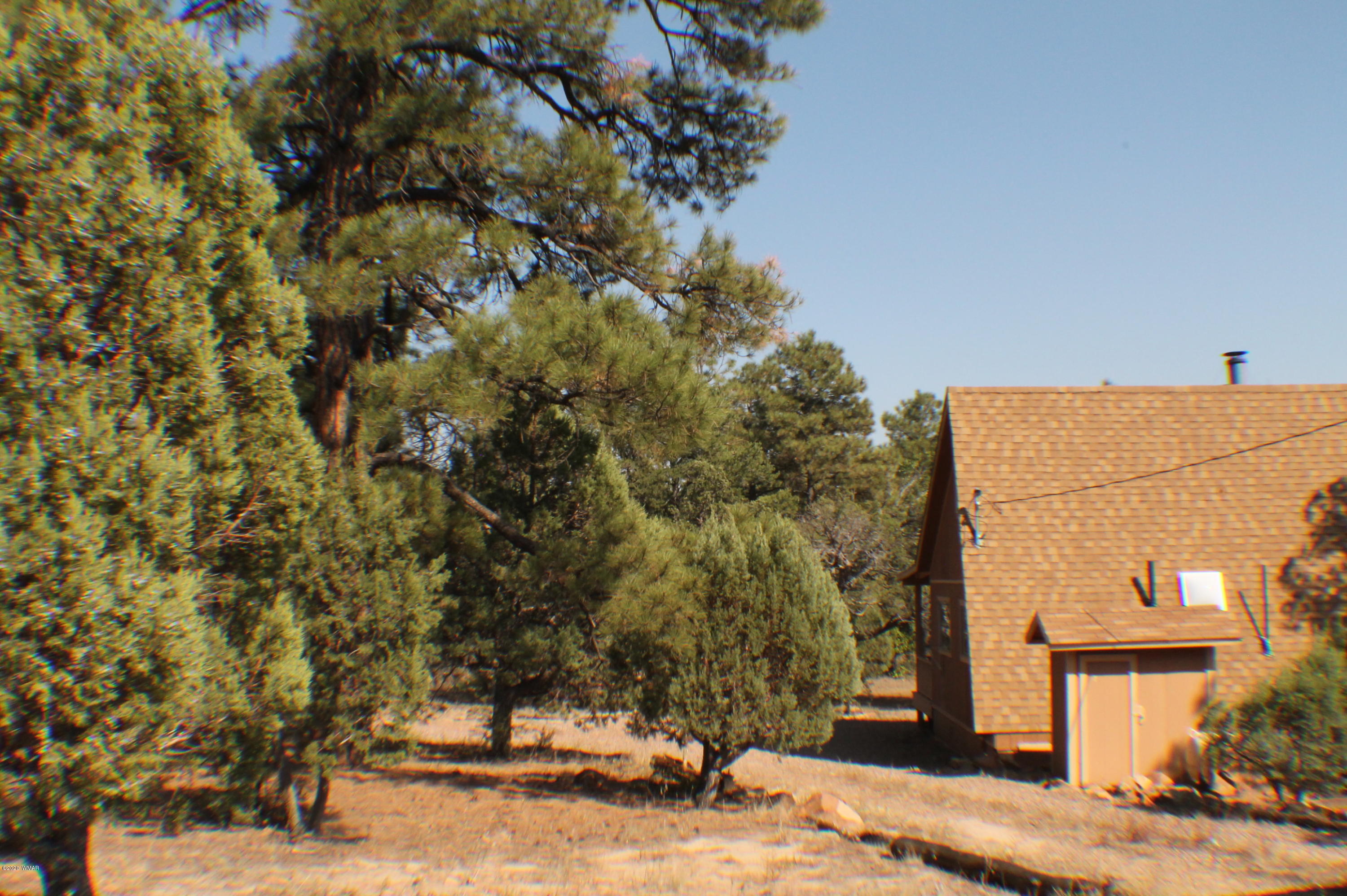 2048 Gilbert Lane Overgaard, AZ 85933 - Photo 8 of 41 a view of a house with a yard