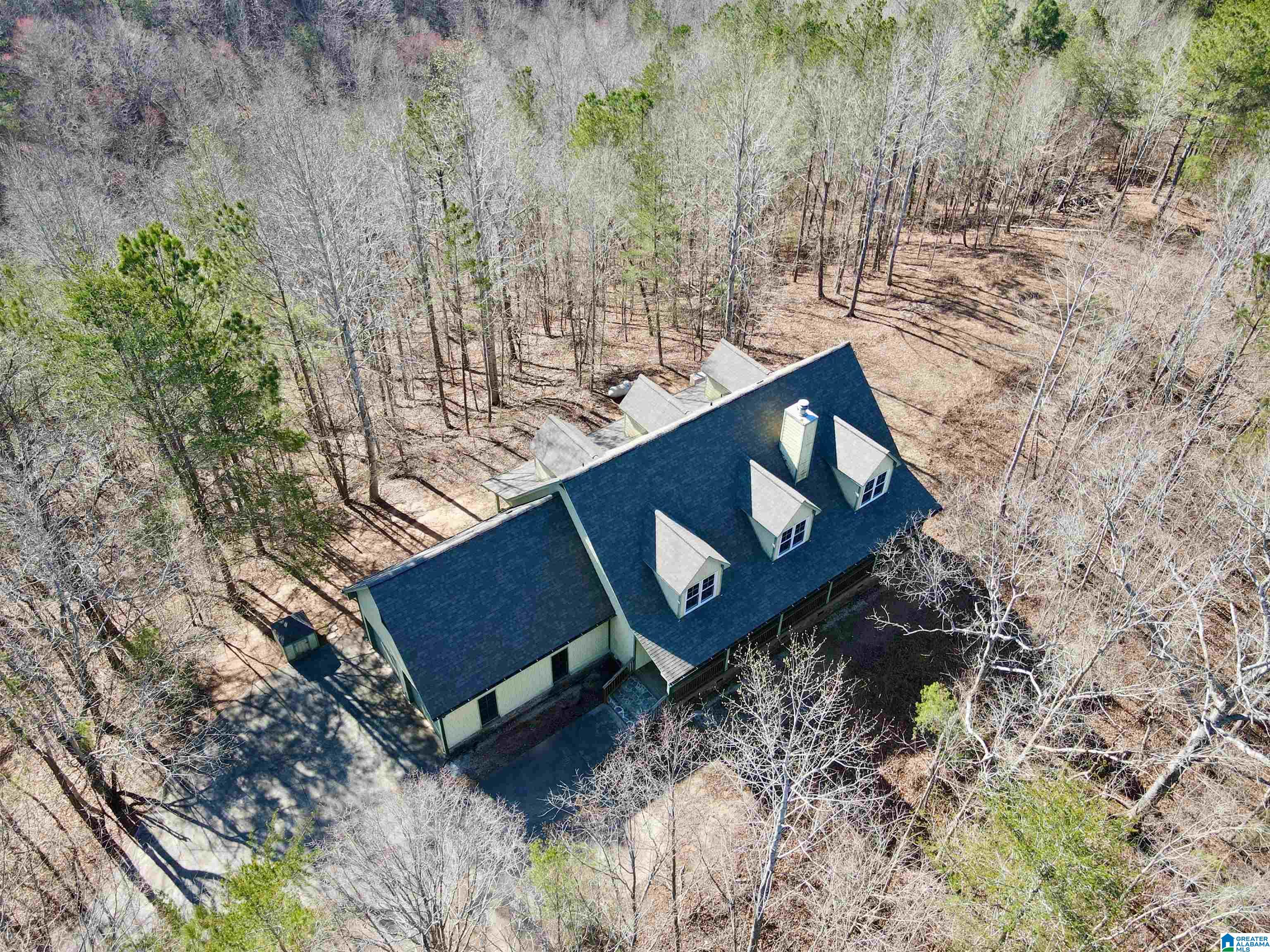 720 Good Hope Delta Road Delta, AL 36258 - Photo 3 of 42 Gallery Image 3