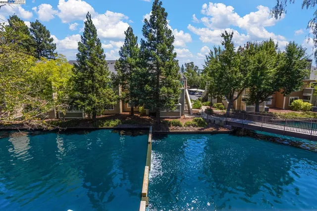 a view of yard with swimming pool and trees in the background