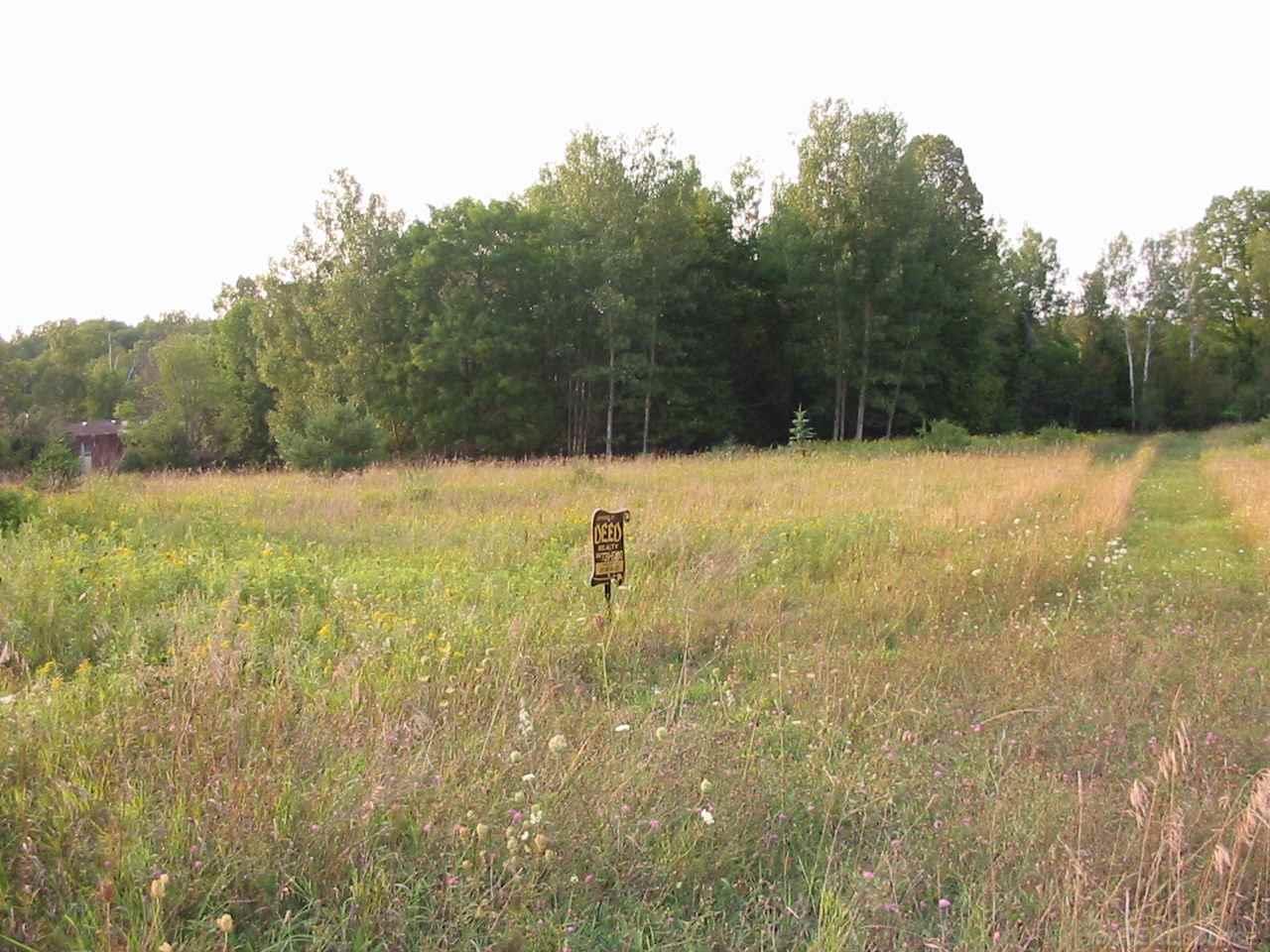 5 River Road Millersburg, MI 49759 - Photo 4 of 7