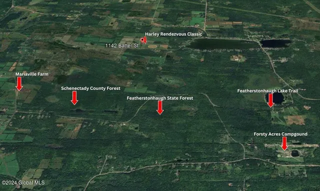 $2,999,999 | 1142 Batter Street, Duanesburg, NY 12137