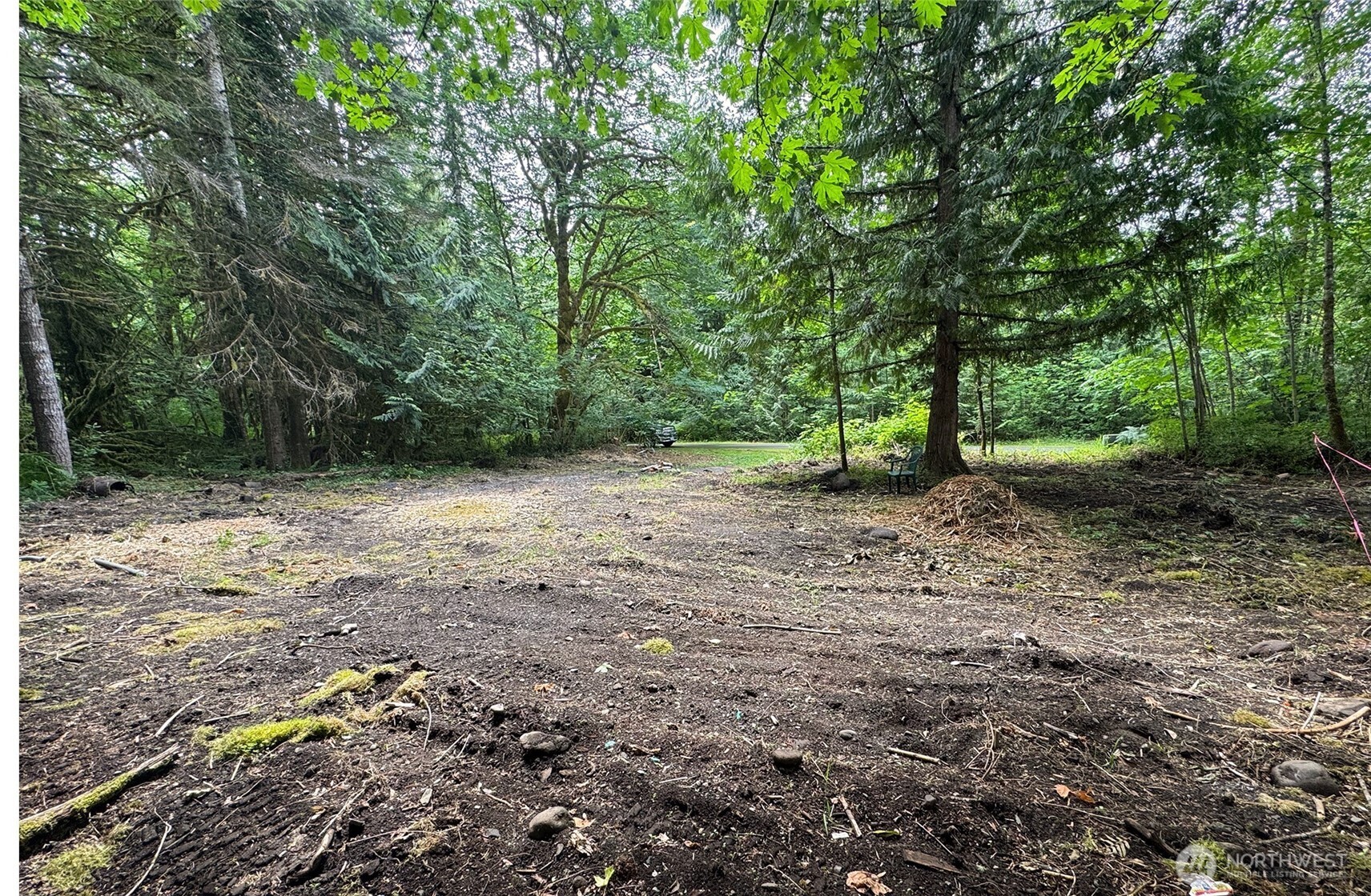 16017 Glacier Rim Drive Glacier, WA 98244 - Photo 1 of 13 a view of a forest with trees in the background