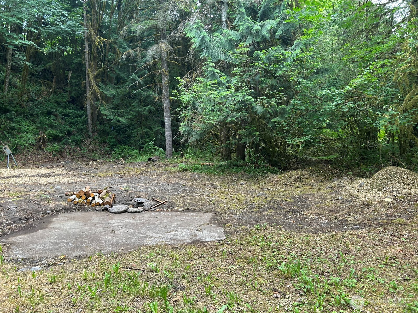 16017 Glacier Rim Drive Glacier, WA 98244 - Photo 2 of 13 a view of a tiny house with a yard