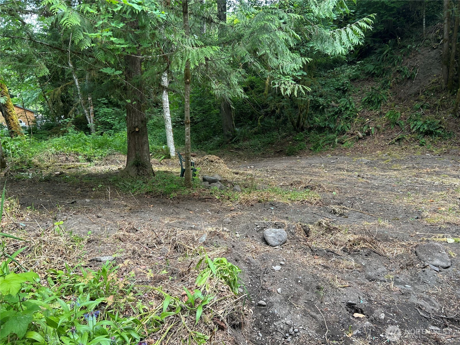 16017 Glacier Rim Drive Glacier, WA 98244 - Photo 4 of 13 a backyard of a house with lots of green space