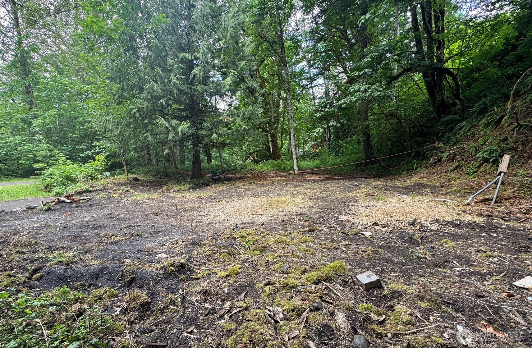 16017 Glacier Rim Drive Glacier, WA 98244 - Photo 5 of 13 a view of a yard with a tree