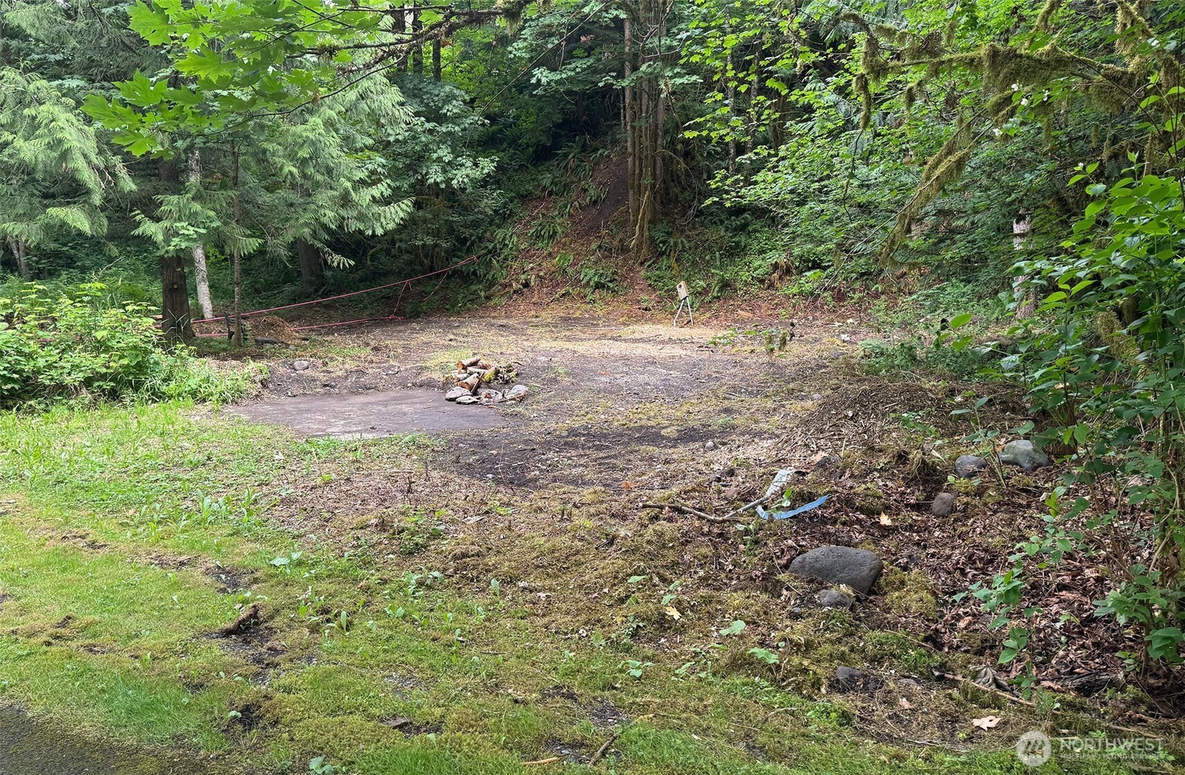 16017 Glacier Rim Drive Glacier, WA 98244 - Photo 6 of 13 a view of a forest with trees in the background