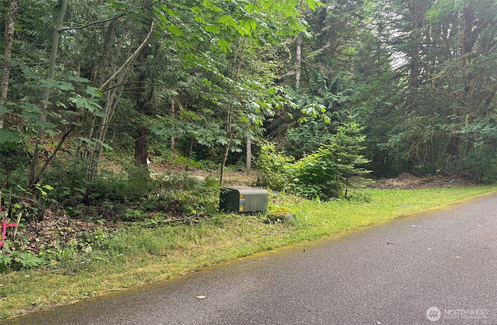 16017 Glacier Rim Drive Glacier, WA 98244 - Photo 7 of 13 a view of a yard with plants