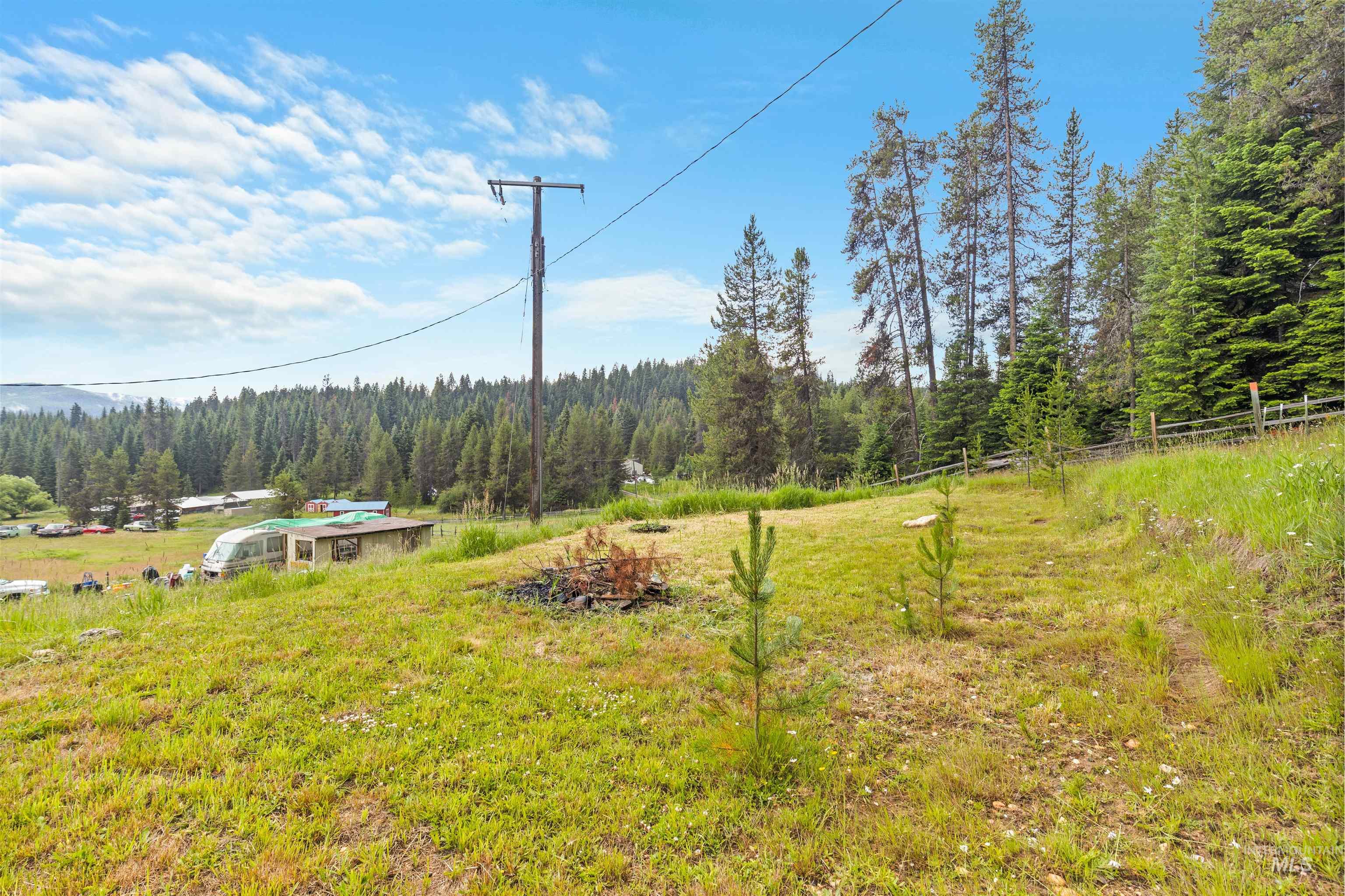 101 Hidden Springs Road Elk City, ID 83525 - Photo 22 of 28 Gravel drive leading to a white-sided residence with an elevated wood deck, surrounded by mature evergreen trees and abundant natural landscaping