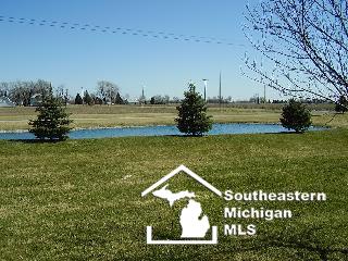 1926 Substation Road Erie, MI 48133 - Photo 27 of 29 Side Yard