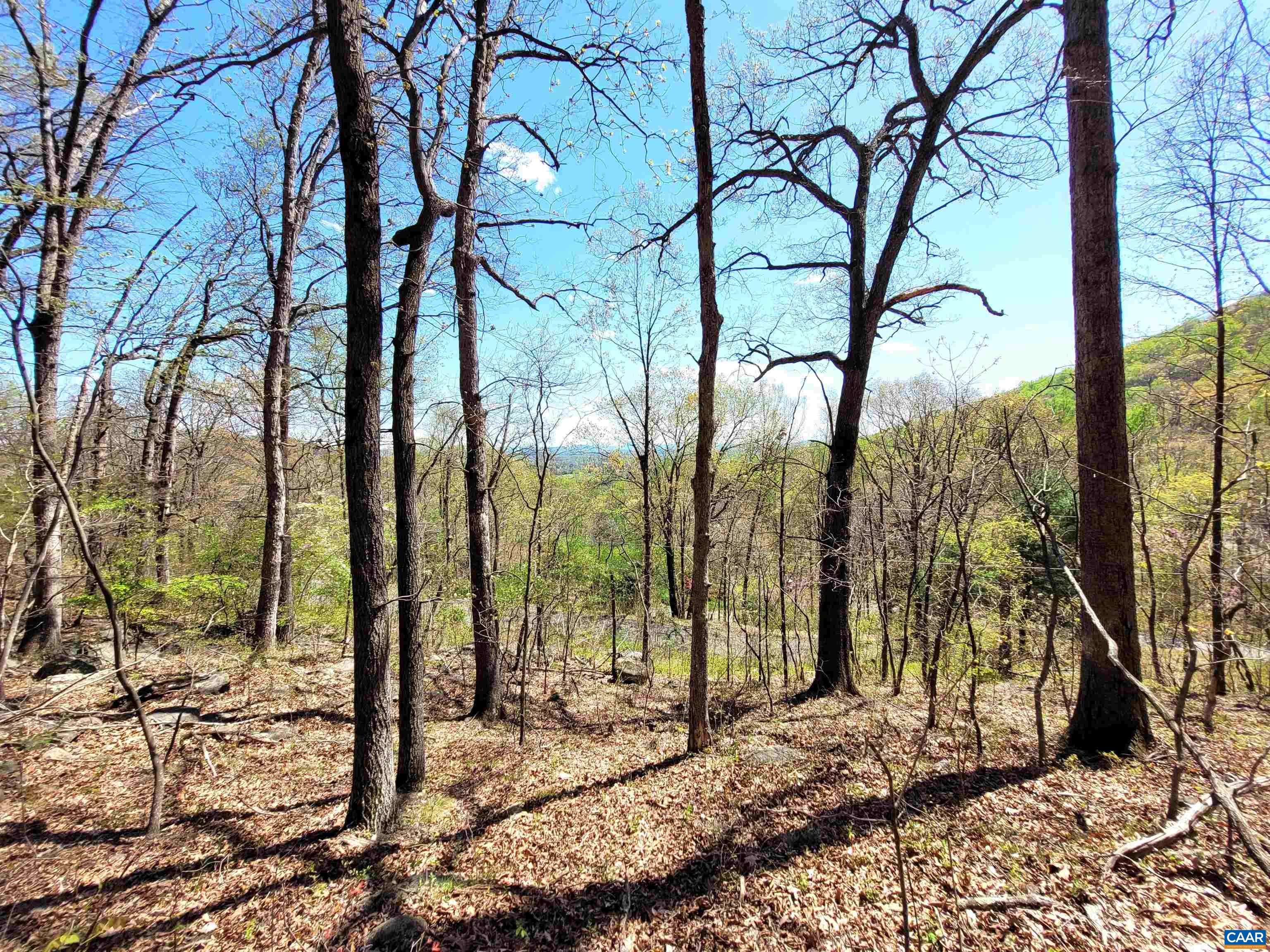 Tbd Lot 41 Tbd Road Stanardsville, VA 22973 - Photo 6 of 33 Gallery Image 6
