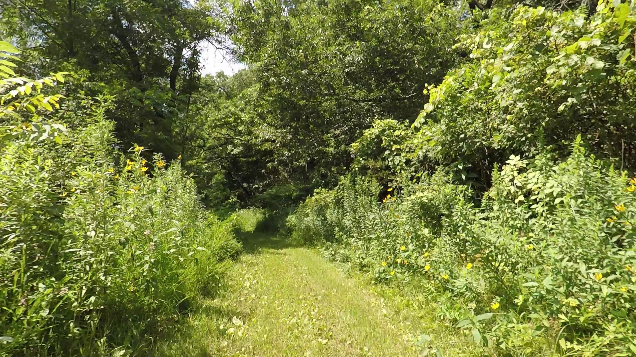 Lot 57 1130th Street Prescott, WI 54021 - Photo 29 of 45 Gallery Image 29