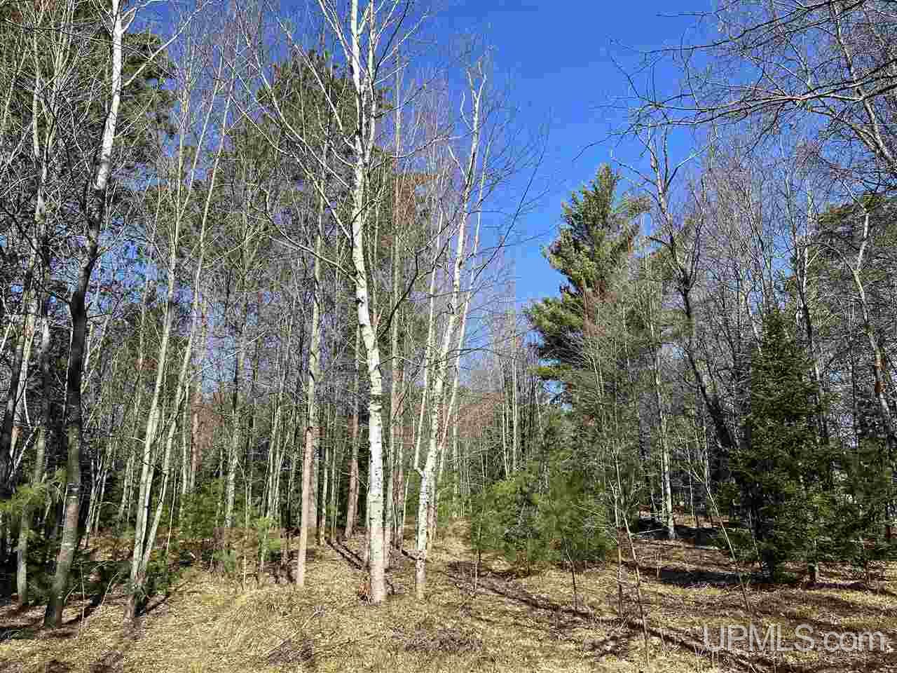 70 Old Highway 70 Road Minocqua, WI 54548 - Photo 8 of 11