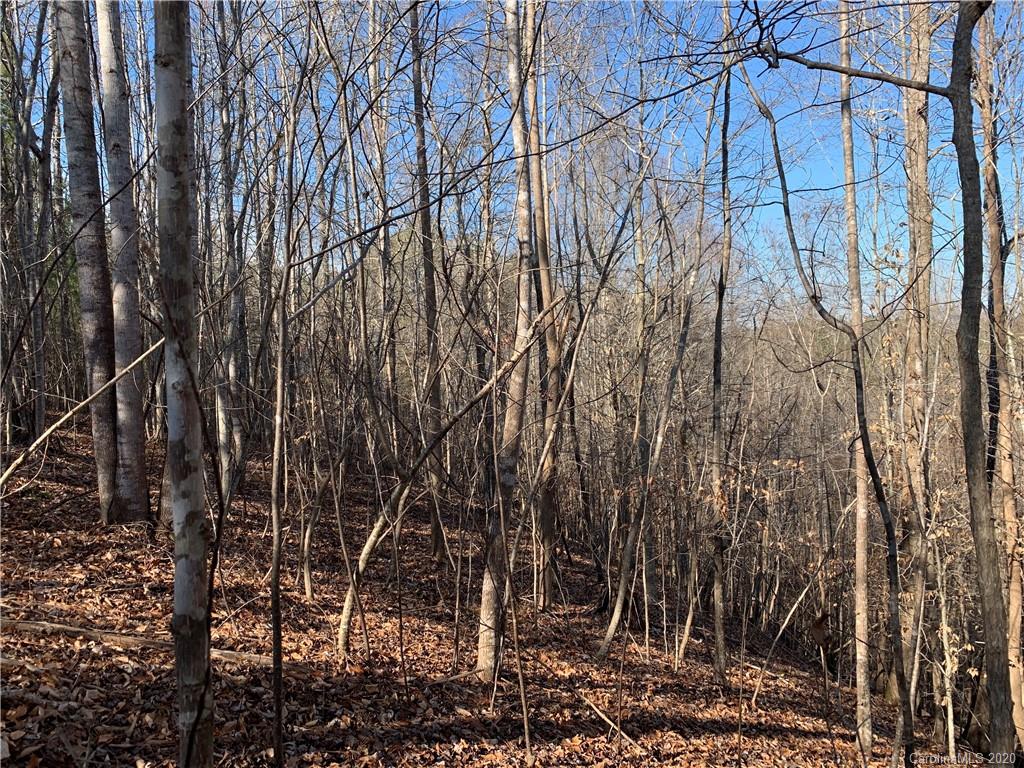 999 Cross Ridge Drive, Unit 132 Rutherfordton, NC 28139 - Photo 2 of 9