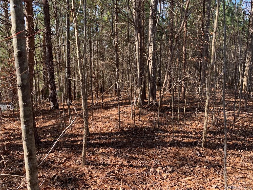 999 Cross Ridge Drive, Unit 132 Rutherfordton, NC 28139 - Photo 3 of 9