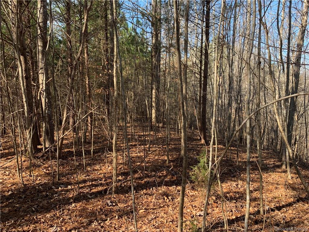 999 Cross Ridge Drive, Unit 132 Rutherfordton, NC 28139 - Photo 4 of 9
