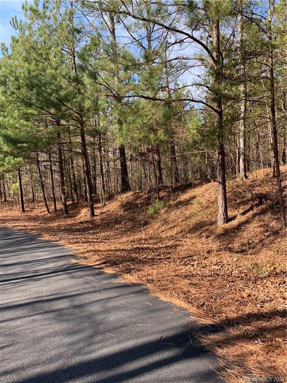 999 Cross Ridge Drive, Unit 132 Rutherfordton, NC 28139 - Photo 7 of 9