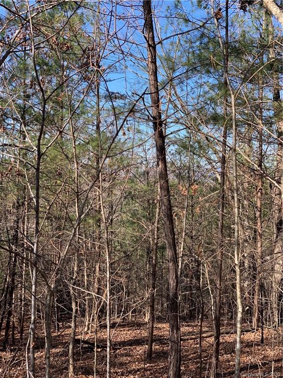 999 Cross Ridge Drive, Unit 132 Rutherfordton, NC 28139 - Photo 8 of 9