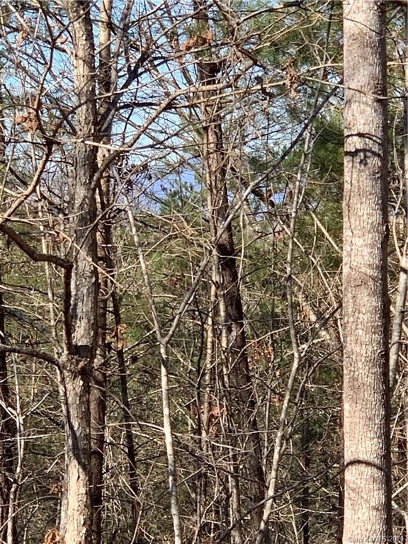 999 Cross Ridge Drive, Unit 132 Rutherfordton, NC 28139 - Photo 9 of 9
