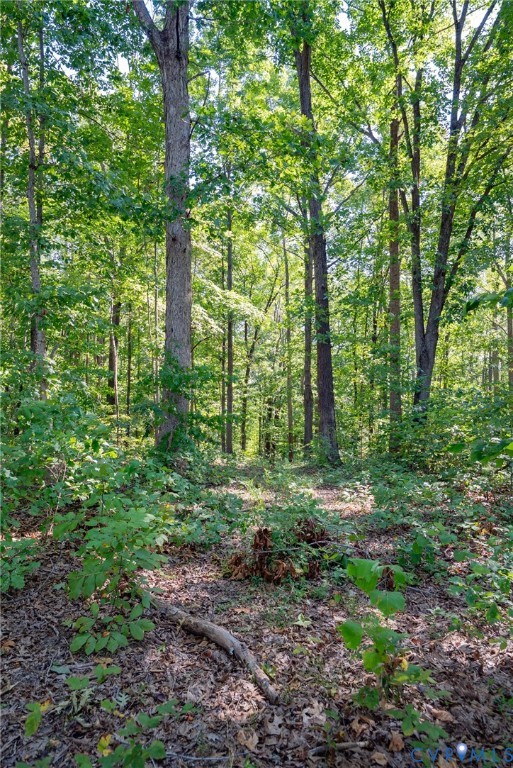 0 Mountain Hall Road Crewe, VA 23930 - Photo 3 of 11 Wooded lot with mature trees and natural ground co